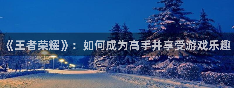 杏耀测试：《王者荣耀》：如何成为高手并享受游戏乐趣