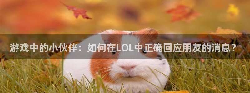 杏耀如何注册：游戏中的小伙伴：如何在LOL中正确回应朋友的消