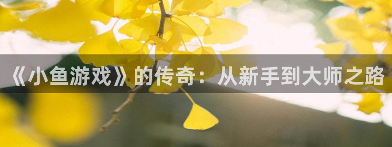 杏耀客户端登陆