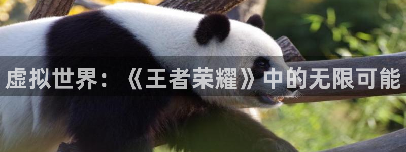 杏耀代理登录中心