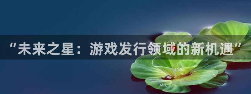 杏耀平台在哪里：“未来之星：游戏发行领域的新机遇”