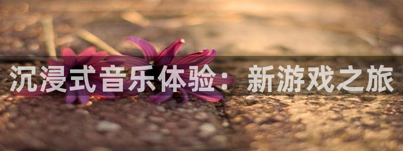 杏耀官网网站中心