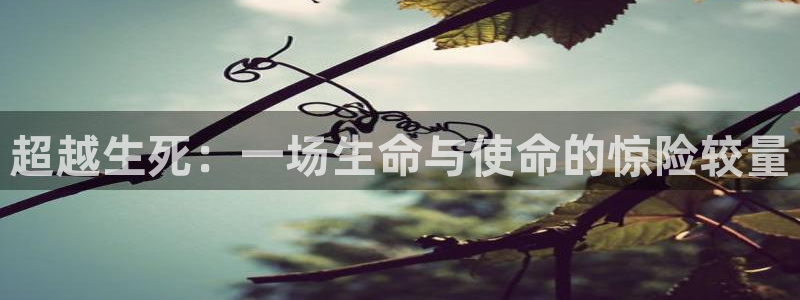 杏耀平台代理怎么赚钱