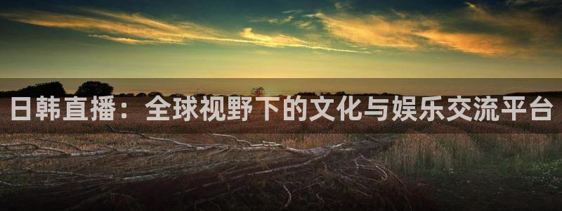 黑白直播篮球在线观看