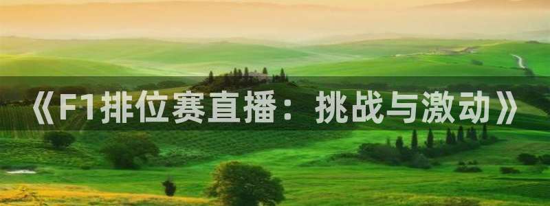 nba直播 黑白直播间：《F1排位赛直播：挑战与激动》
