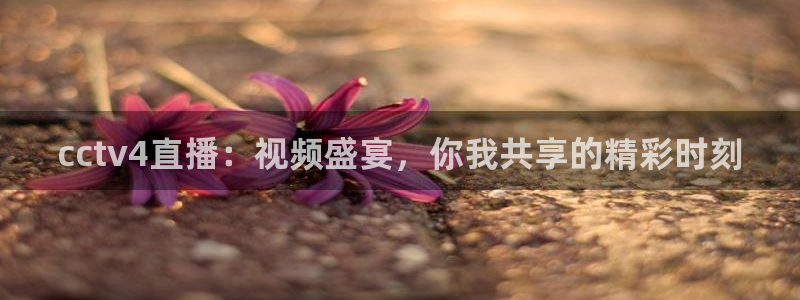 nba黑白直播免费观看：cctv4直播：视频盛宴，你我共享的精彩时刻
